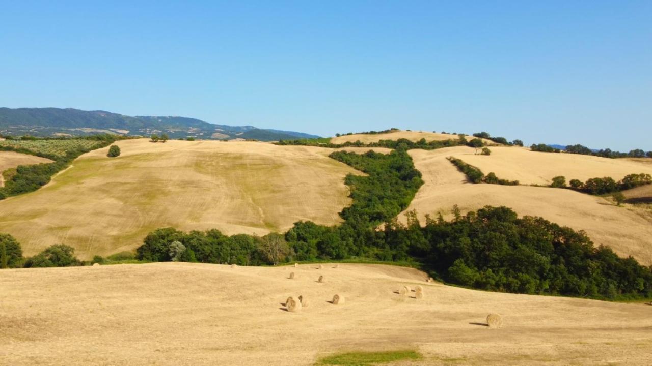Glamping Le Dune Cinigiano Eksteriør billede